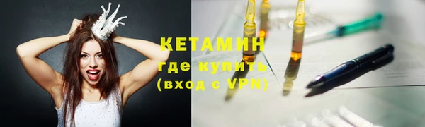ГАЛЛЮЦИНОГЕННЫЕ ГРИБЫ Козловка