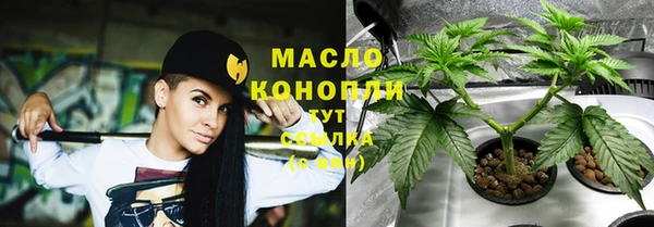 соль ск Каменногорск