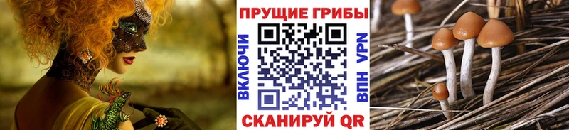Галлюциногенные грибы Psilocybe гидра маркетплейс Катав-Ивановск